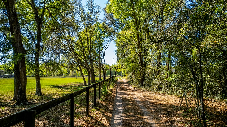 rainbowpark about graphic