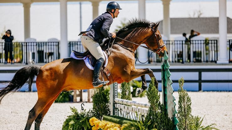 rainbowpark hoursecountry graphic